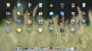 Why is my iOS in my OS X?